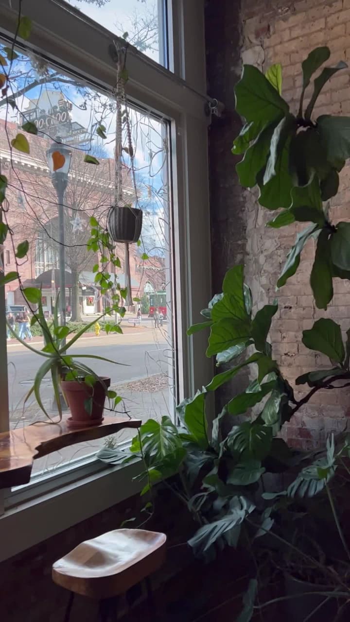 Wildflower Tea Shop & Apothecary