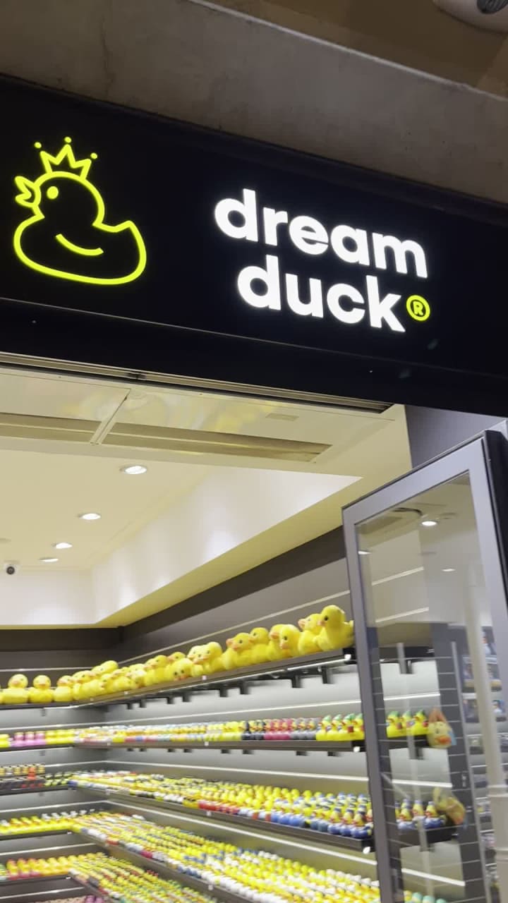 Video review of Salotto 42