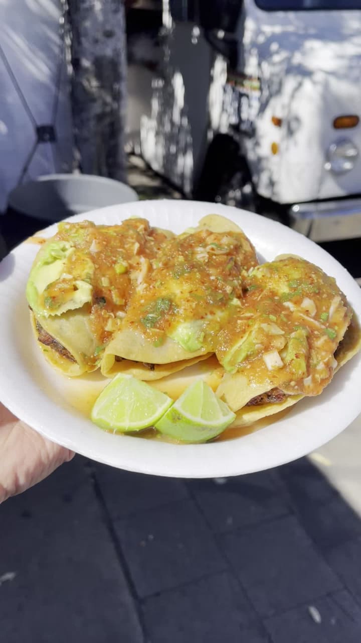 Video review of Mariscos Jalisco