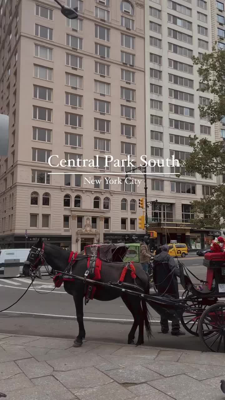 Central park