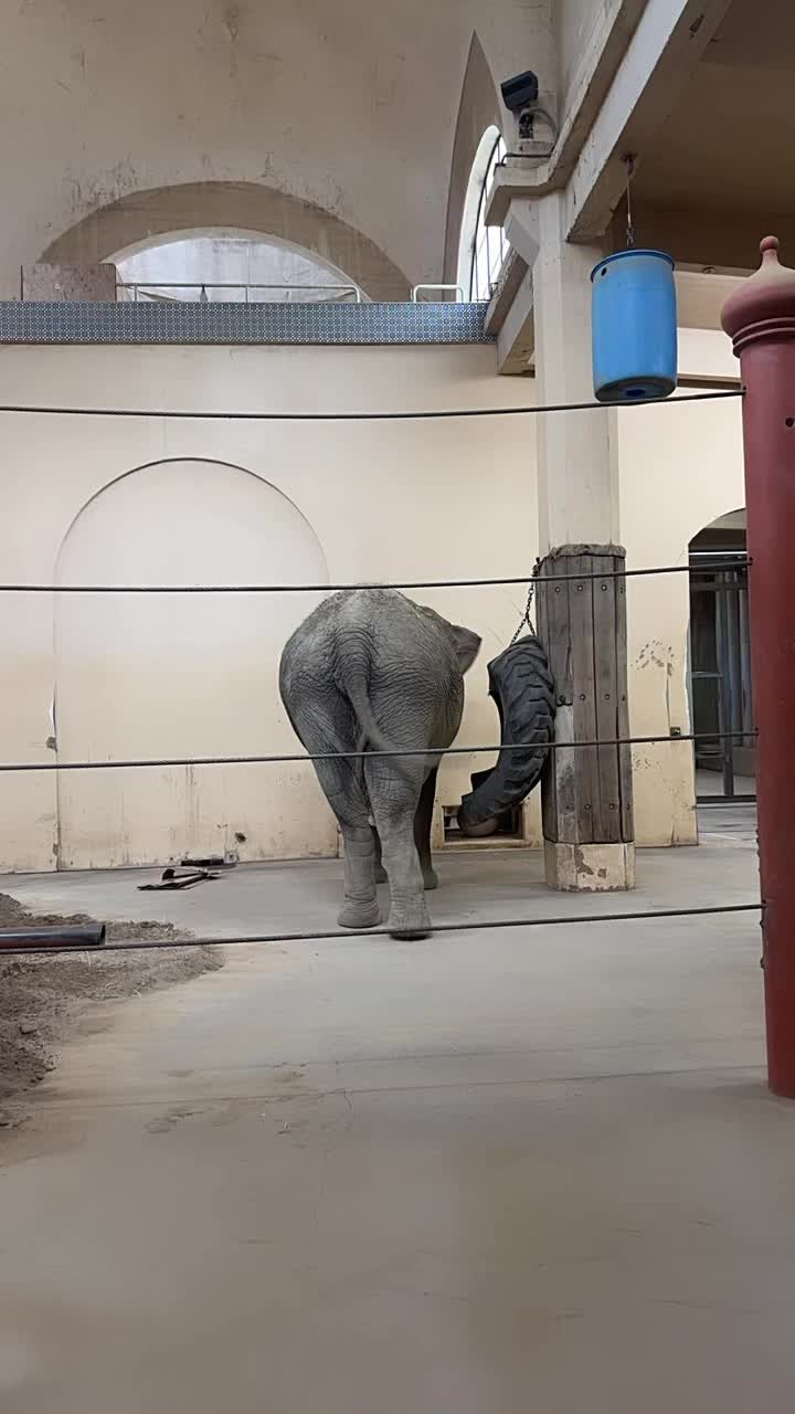 Cincinnati Zoo & Botanical Garden