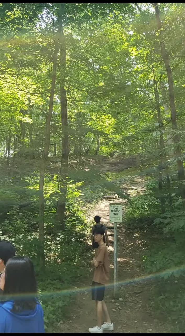 Swallow Cliff Stairs