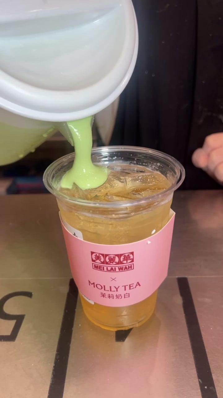 Molly Tea 茉莉奶白