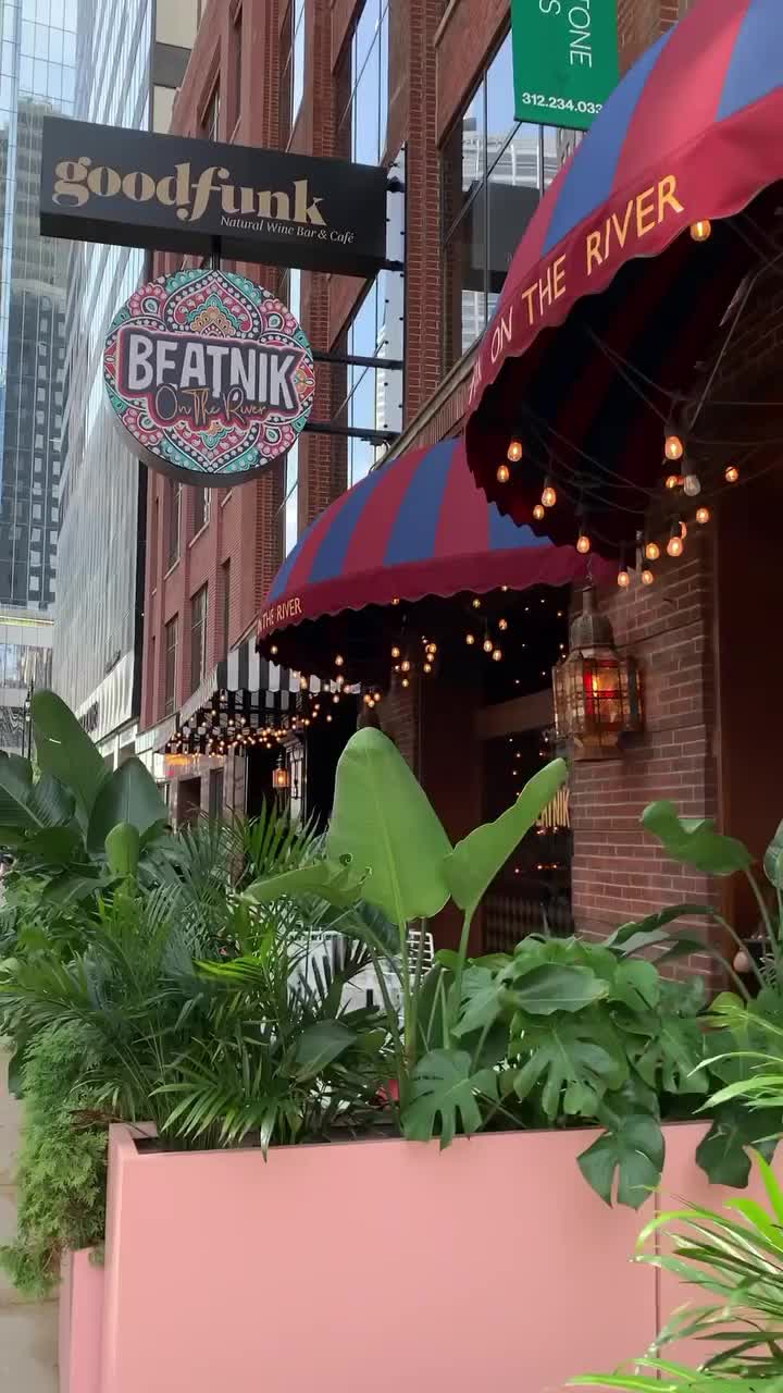 Beatnik On The River