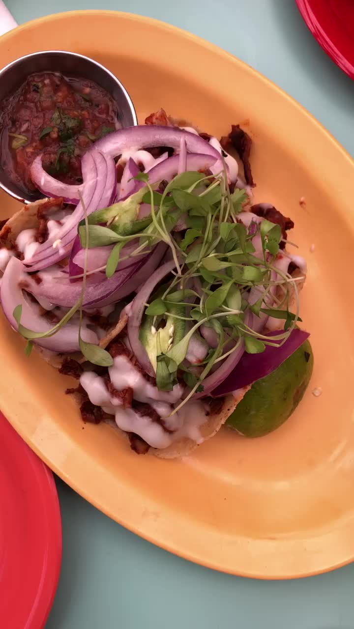 JaJaJa Plantas Mexicana