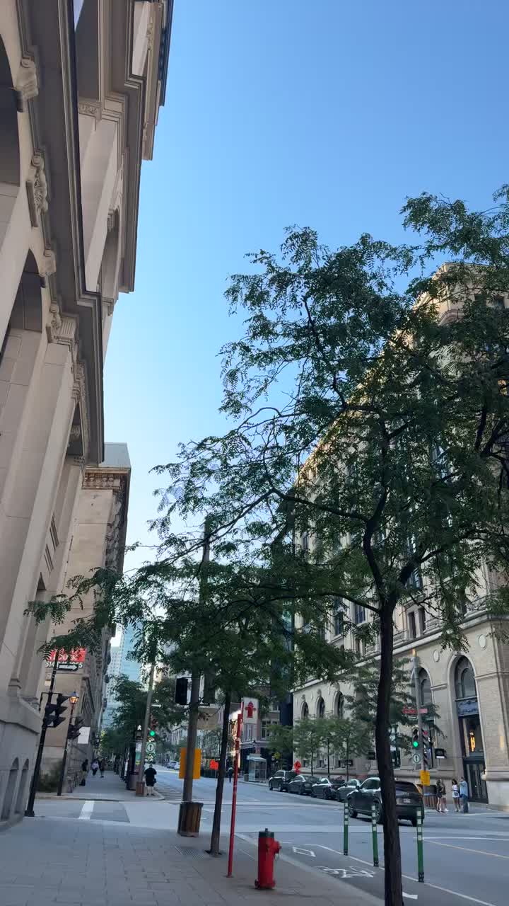 Video review of Square Phillips