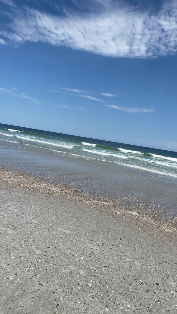 Little Talbot Island Dune Ridge Trail