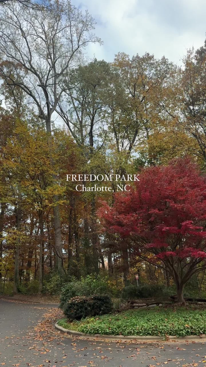 Video review of Freedom Park