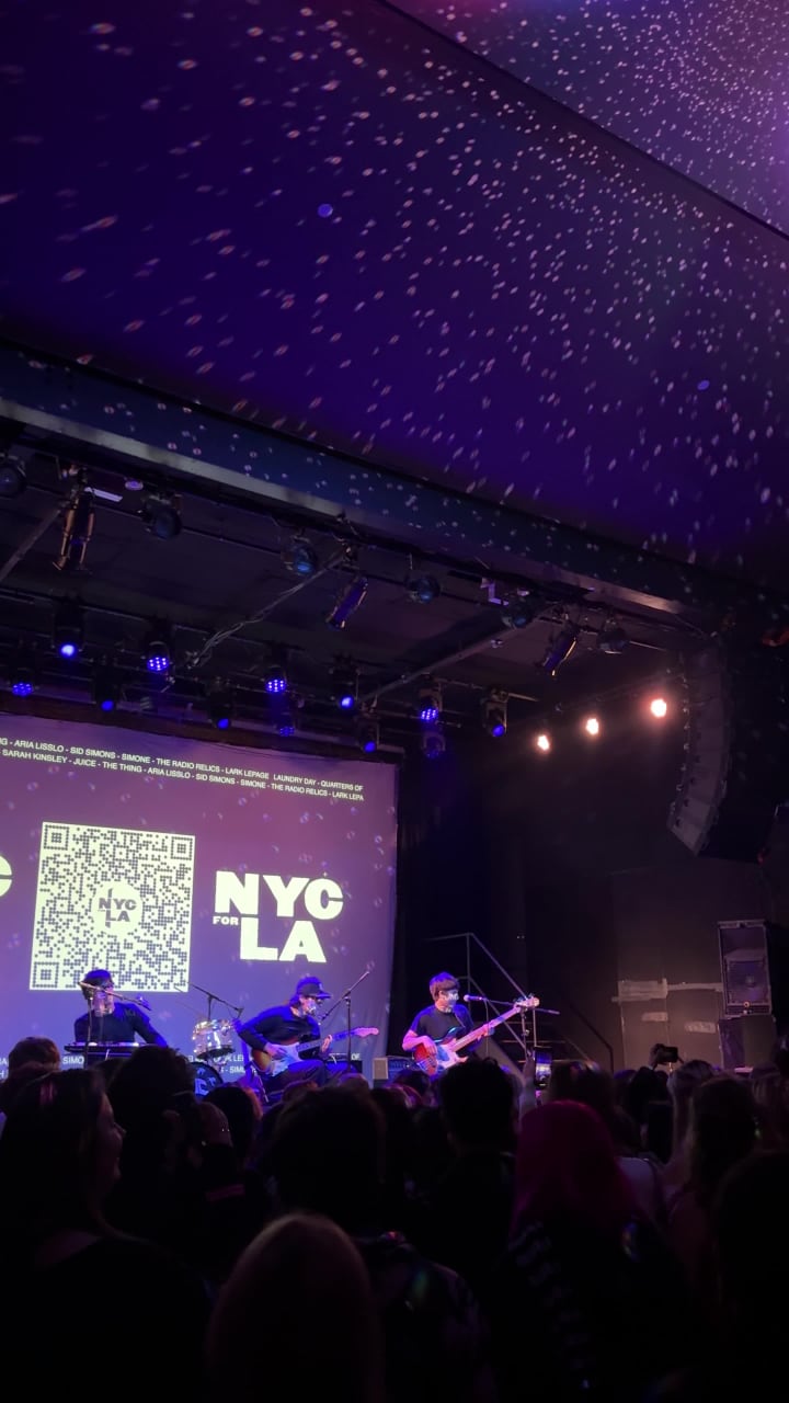 Video review of Music Hall of Williamsburg
