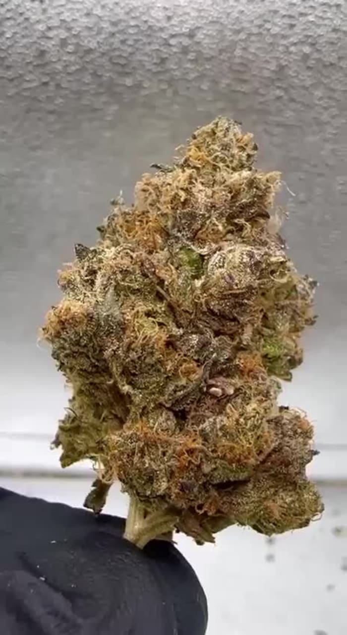 Kansas City VA Medical Center