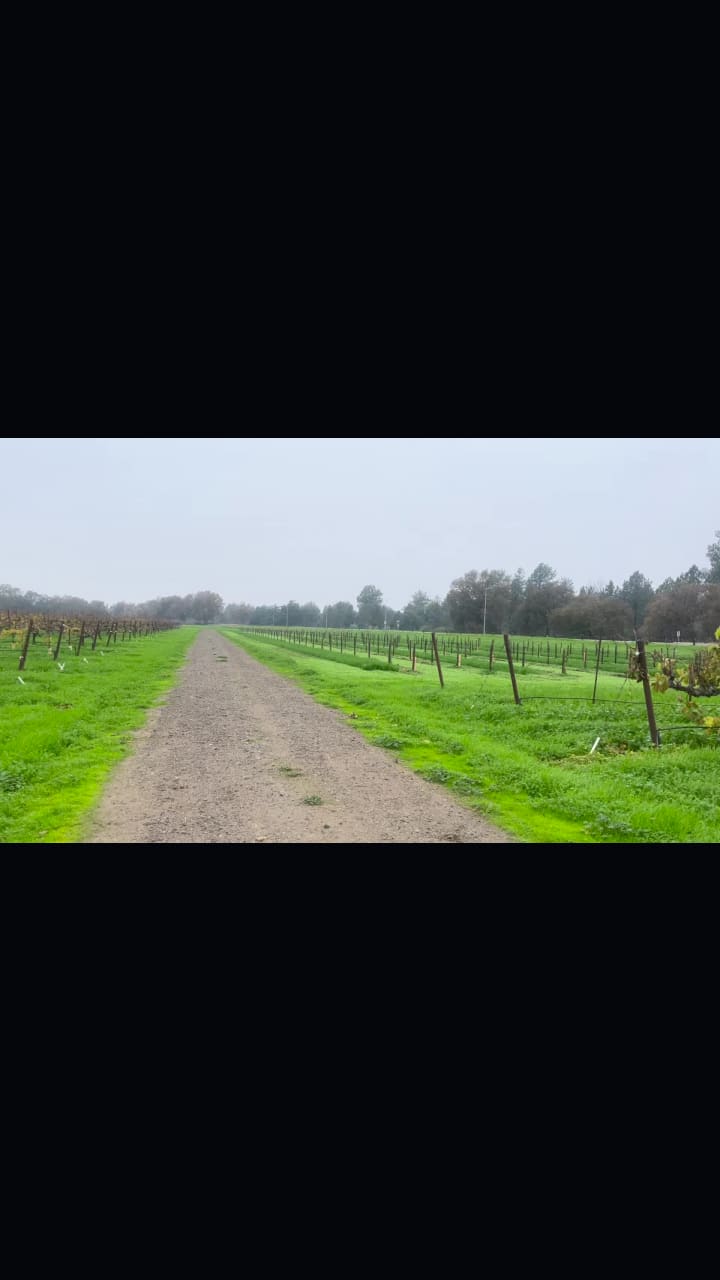 Video review of Putah Creek Cafe