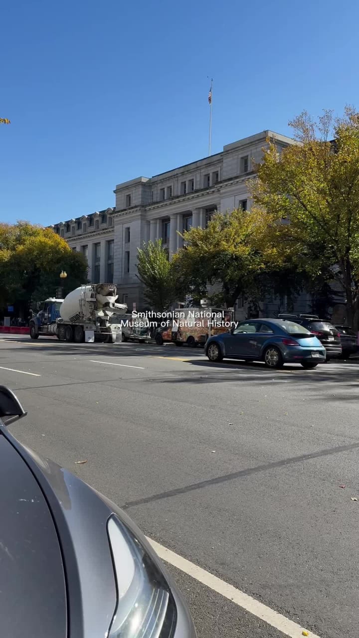 Atrium Cafe - Smithsonian's National Museum of Natural History