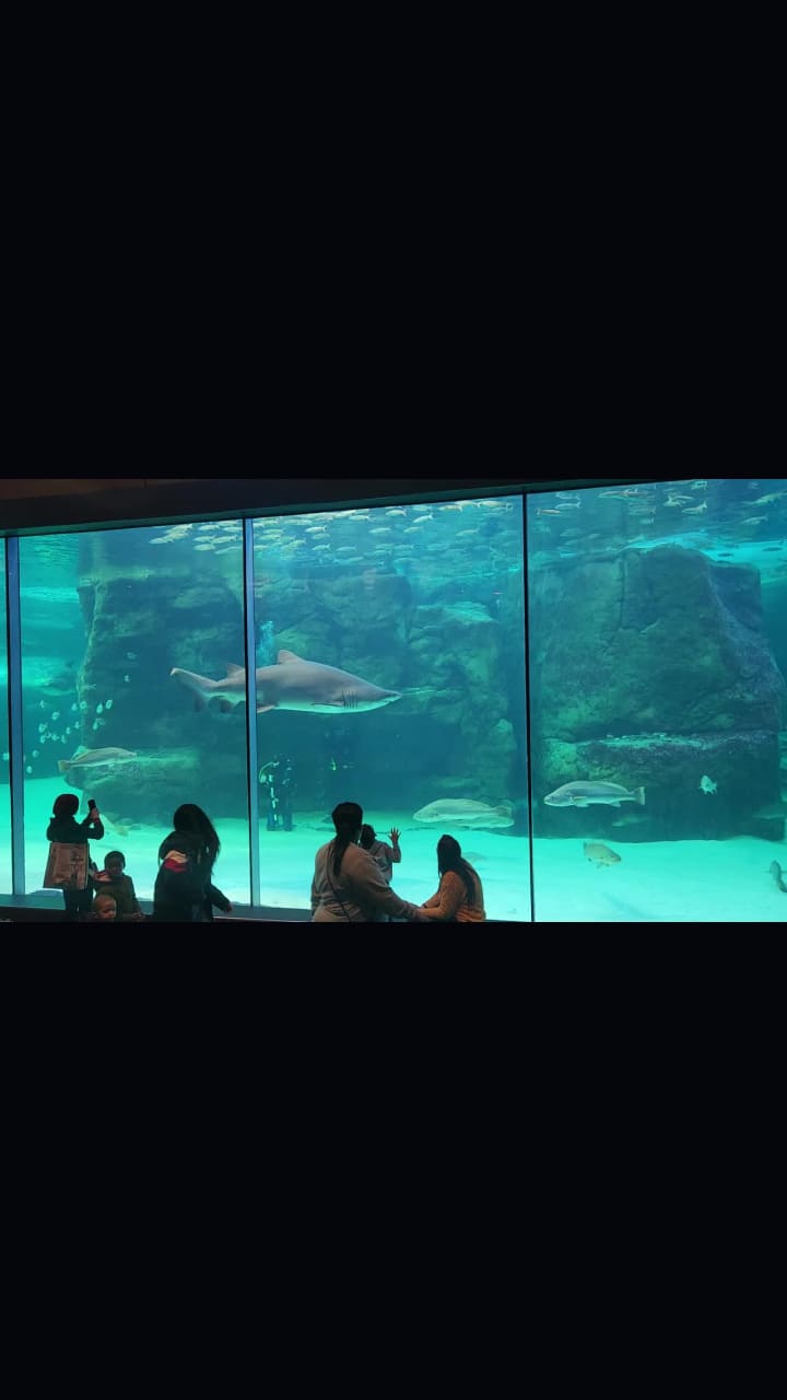 Grand Pavillion Seapoint