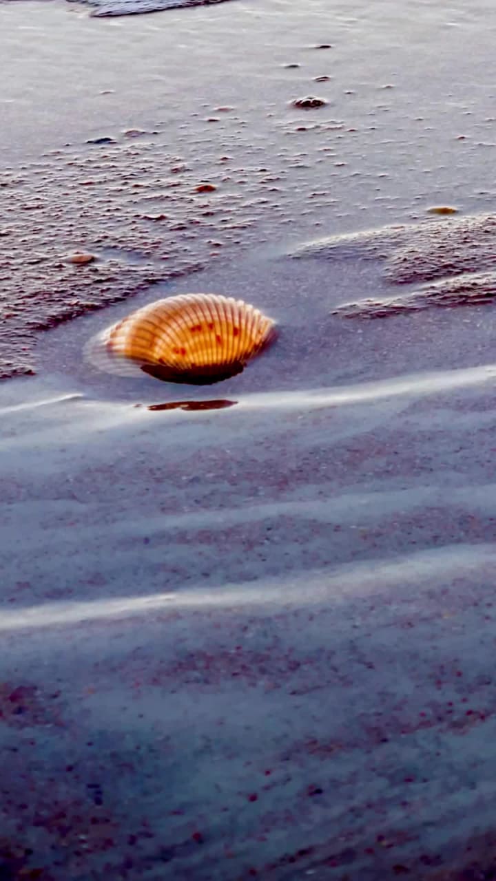 Anastasia Island Beach