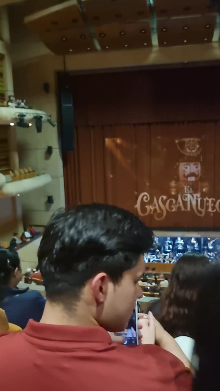 Teatro Mayor Julio Mario Santo Domingo