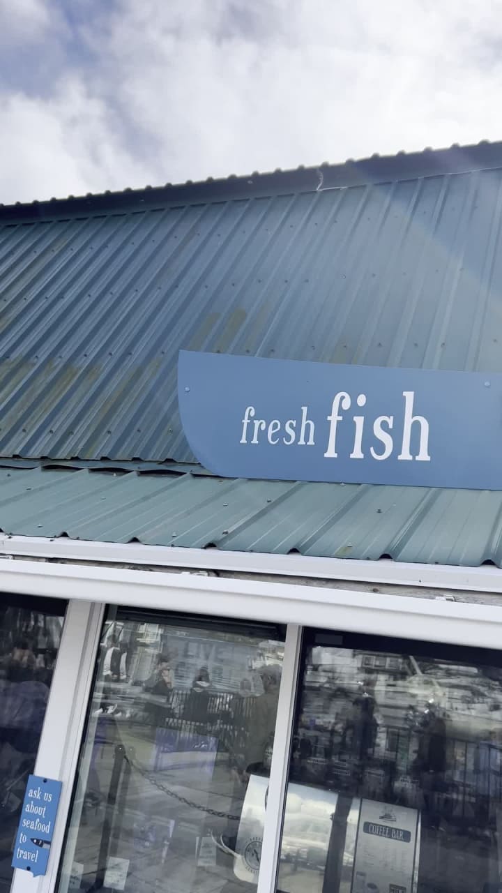 The Fish Store