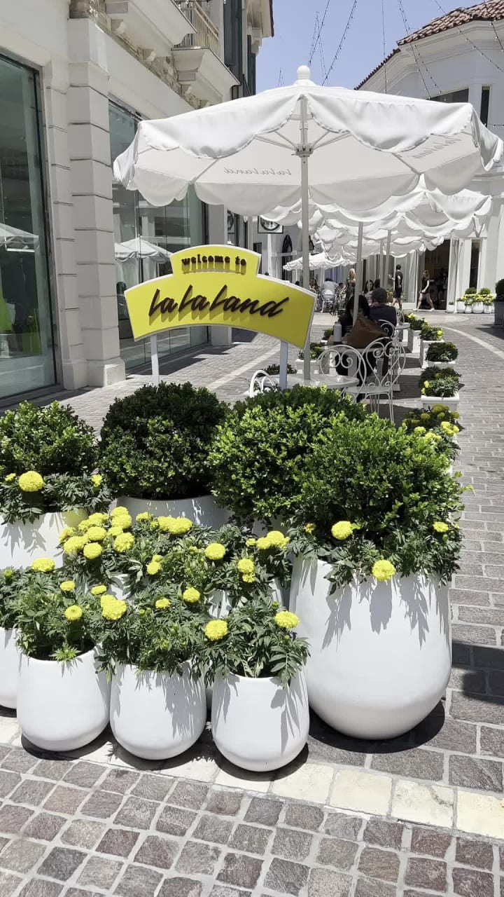 La La Land Kind Café