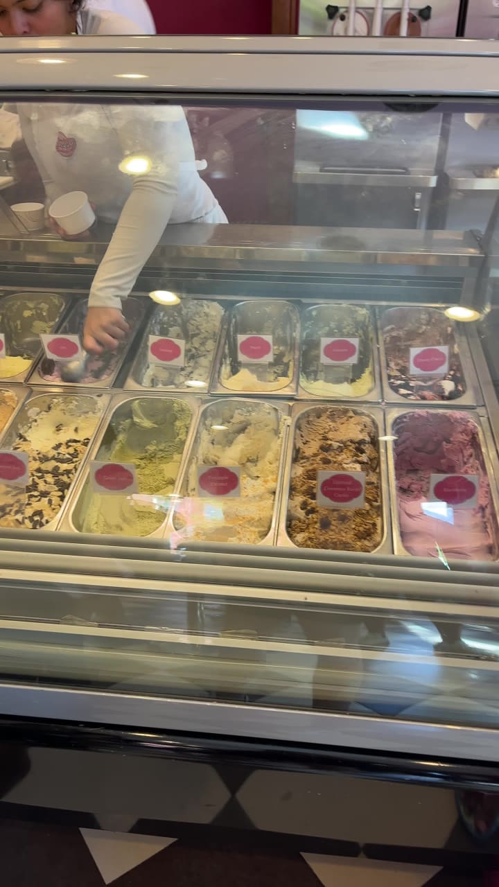 Video review of Torico Ice Cream