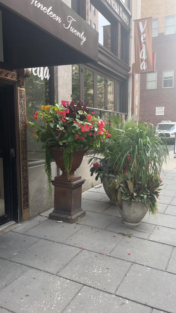 Video review of Veda - Modern Indian Bistro