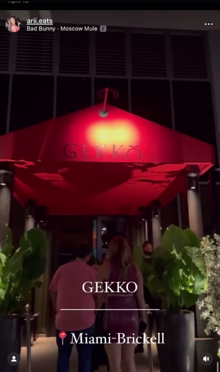 Gekko