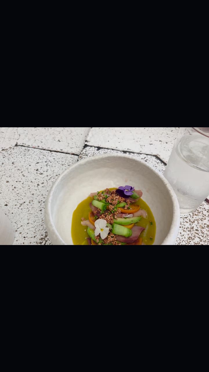 Video review of José