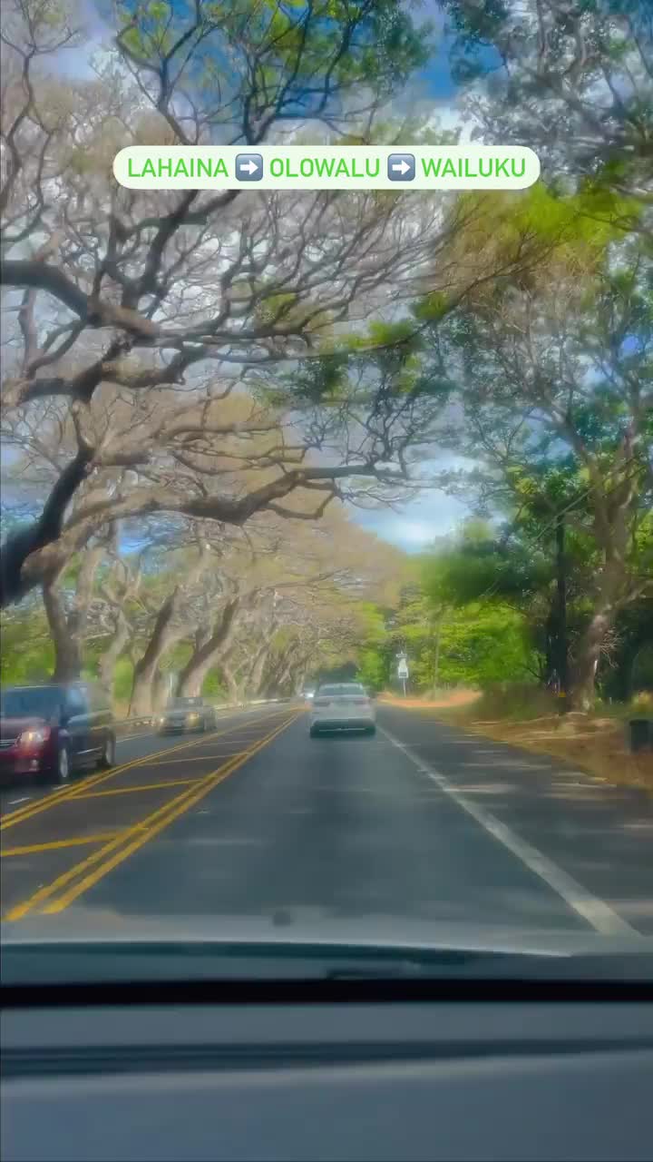 Video review of Esters Fair Prospect