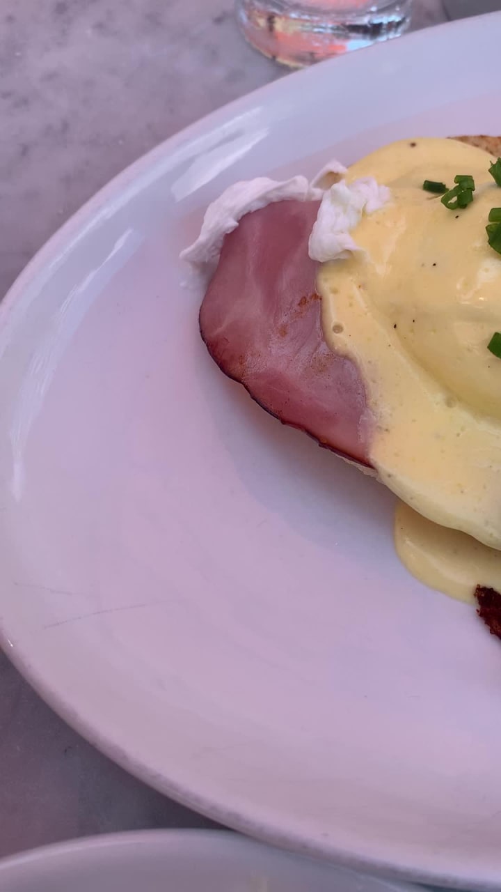 Video review of Morgan's Restaurant