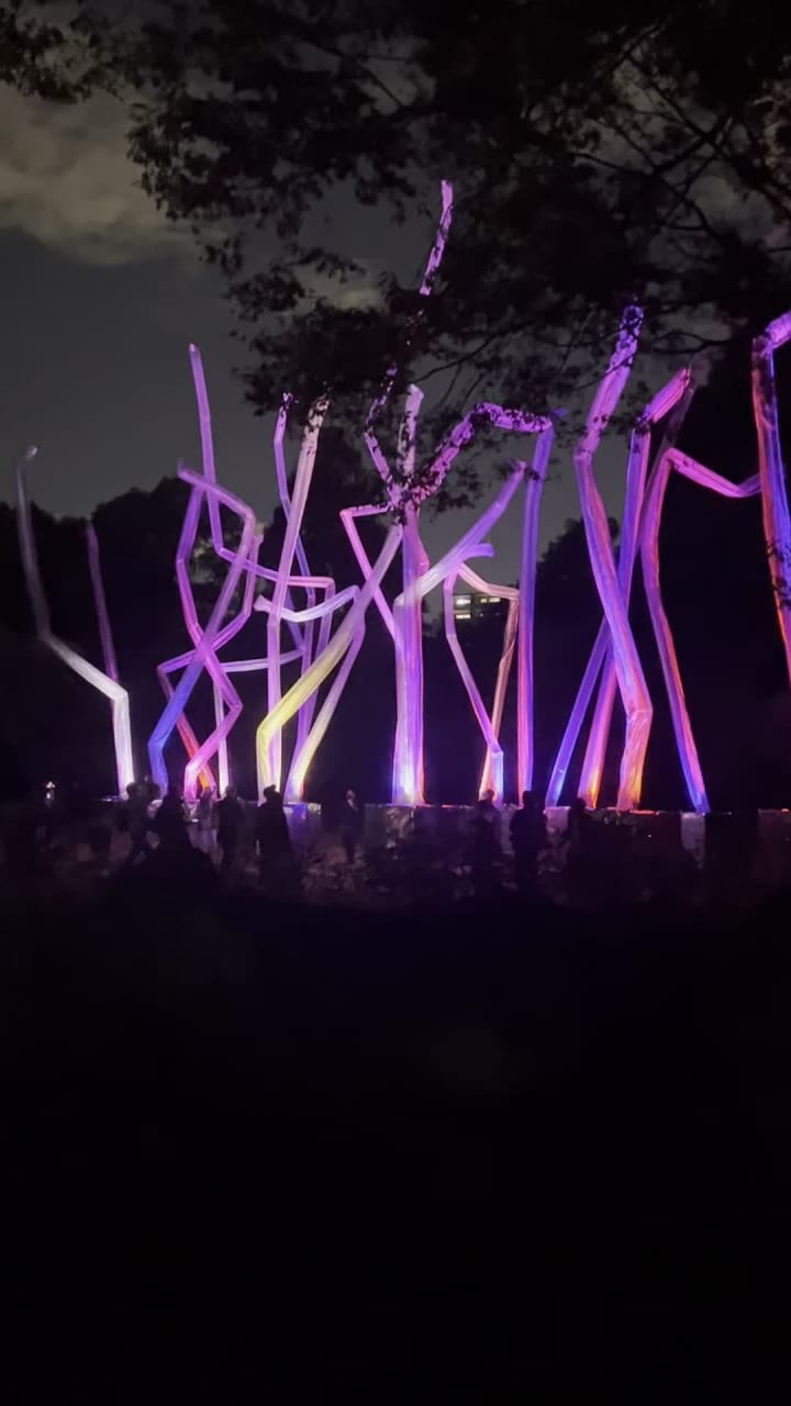 teamLab Botanical Garden Osaka