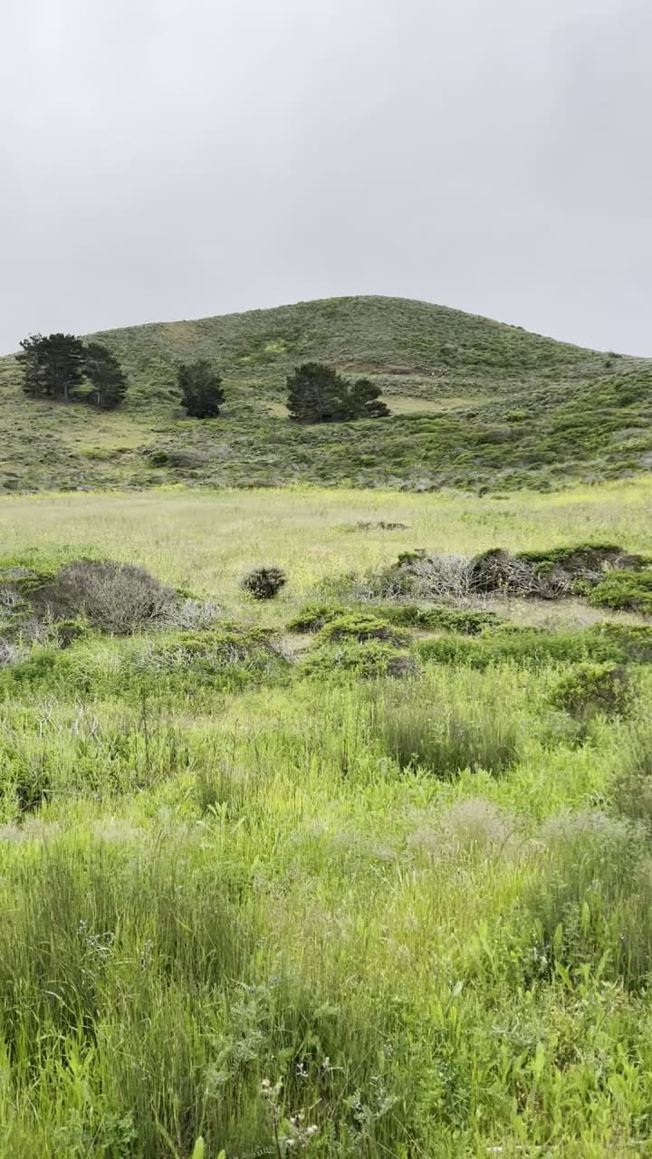 Video review of Mori Point