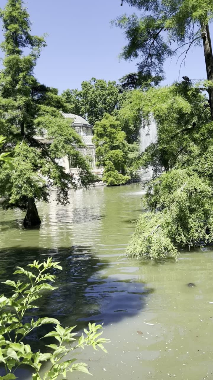Video review of Palacio de Cristal del Retiro