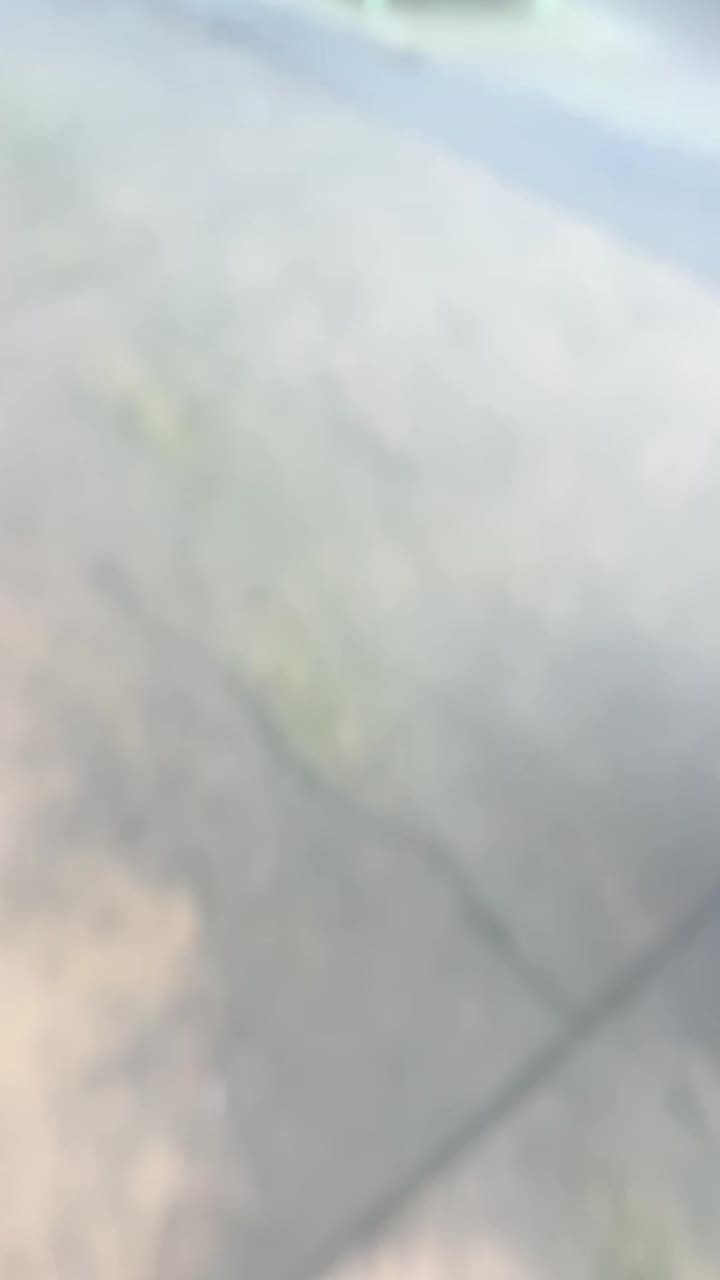 Video review of Alderwood Mall