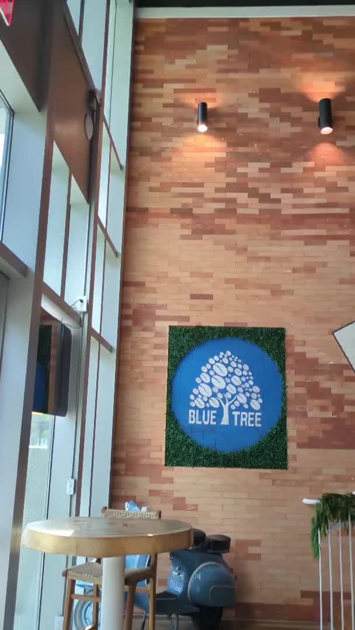 Video review of Blue Tree Café