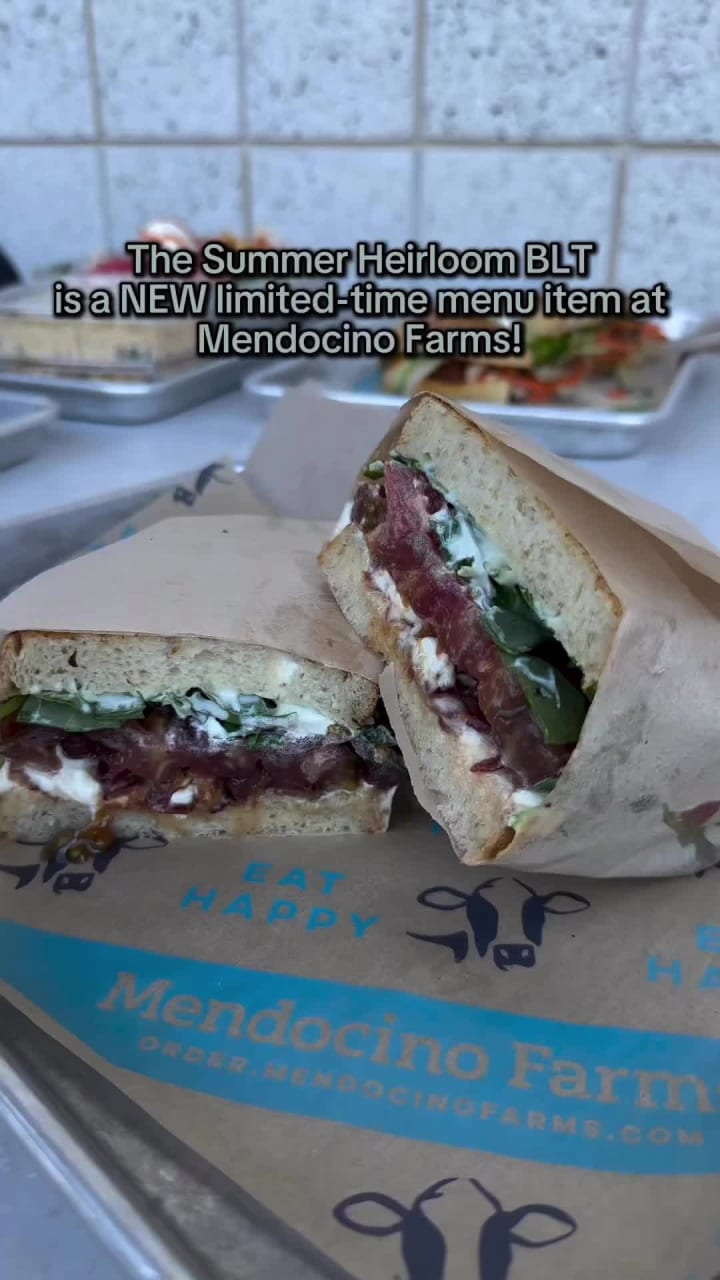Video review of Mendocino Farms