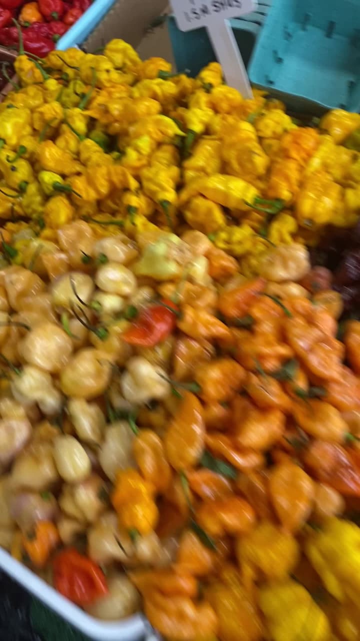 Video review of State Farmers Market