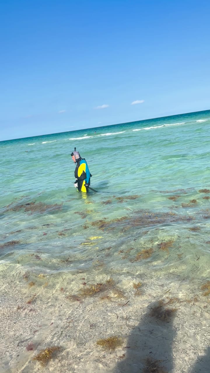 Video review of Mango's Tropical Cafe South Beach