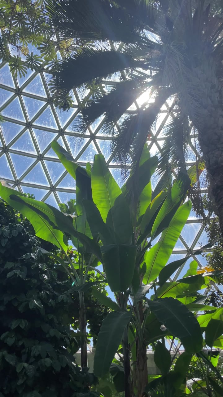 Bloedel Conservatory
