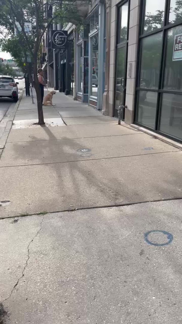 Video review of Dark Matter Coffee - Osmium Coffee Bar