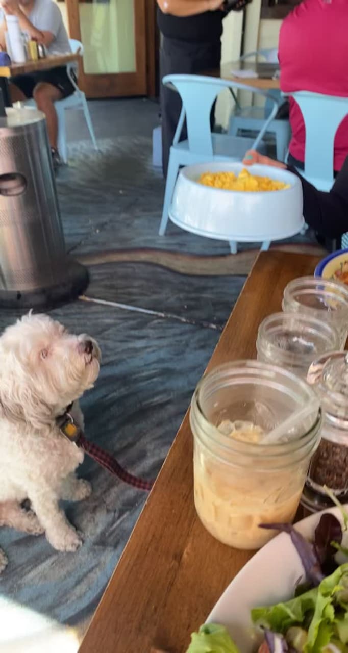 Petit Soleil Cafe on Clay