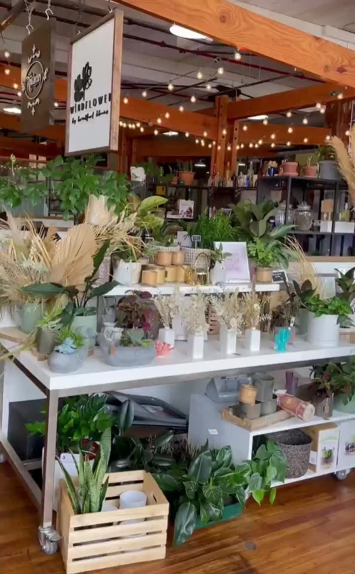 Windflower Floral and Events Inc.