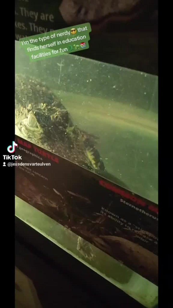 Kernersville Reptile Zoo & Rescue