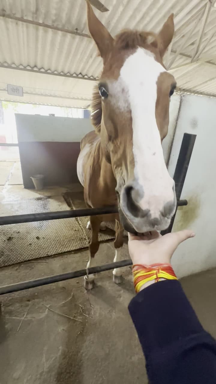 Mounted Police Training Grounds