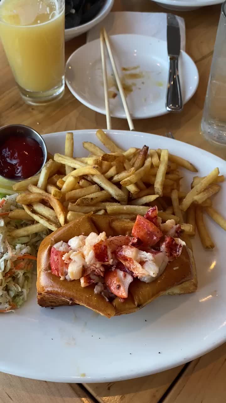 Video review of The Black Whale