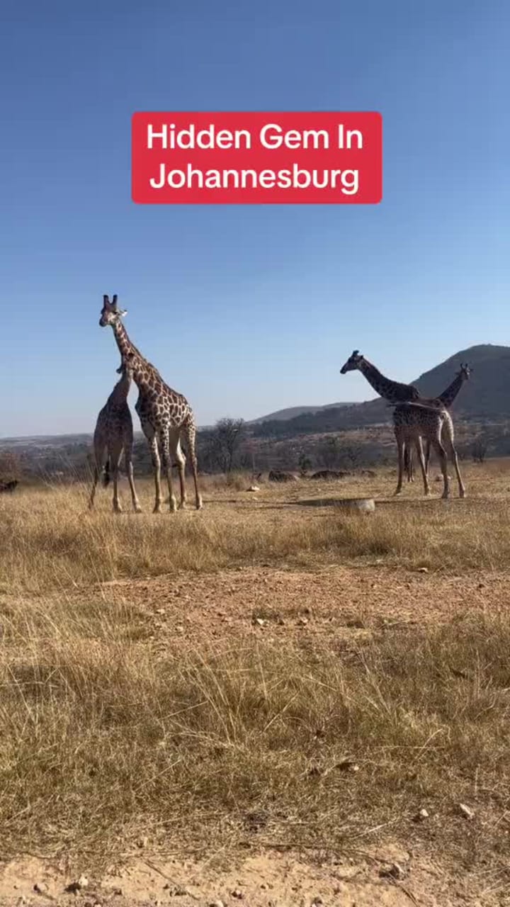 Boundary Silk Bazaar Jammat Khanna