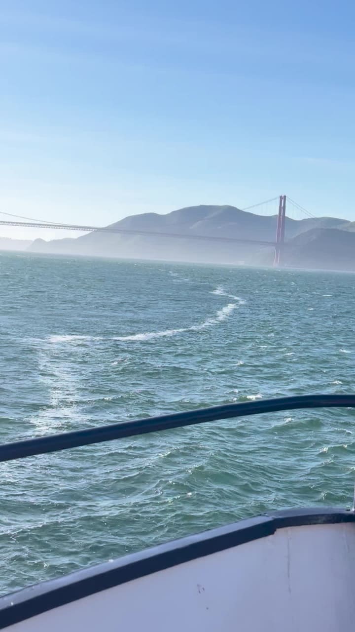 City Moment · San Francisco