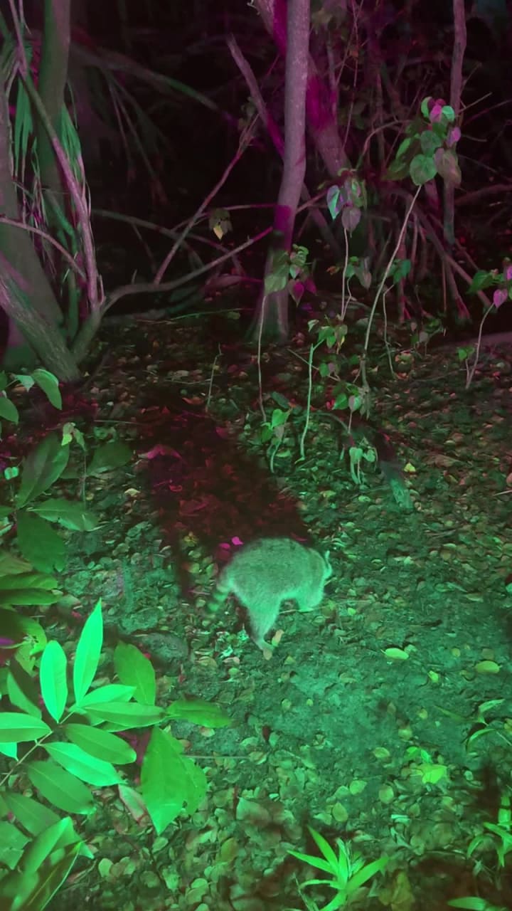 Video review of La Estancia Argentina