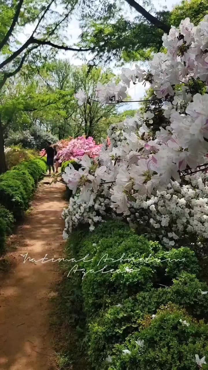 Video review of United States National Arboretum