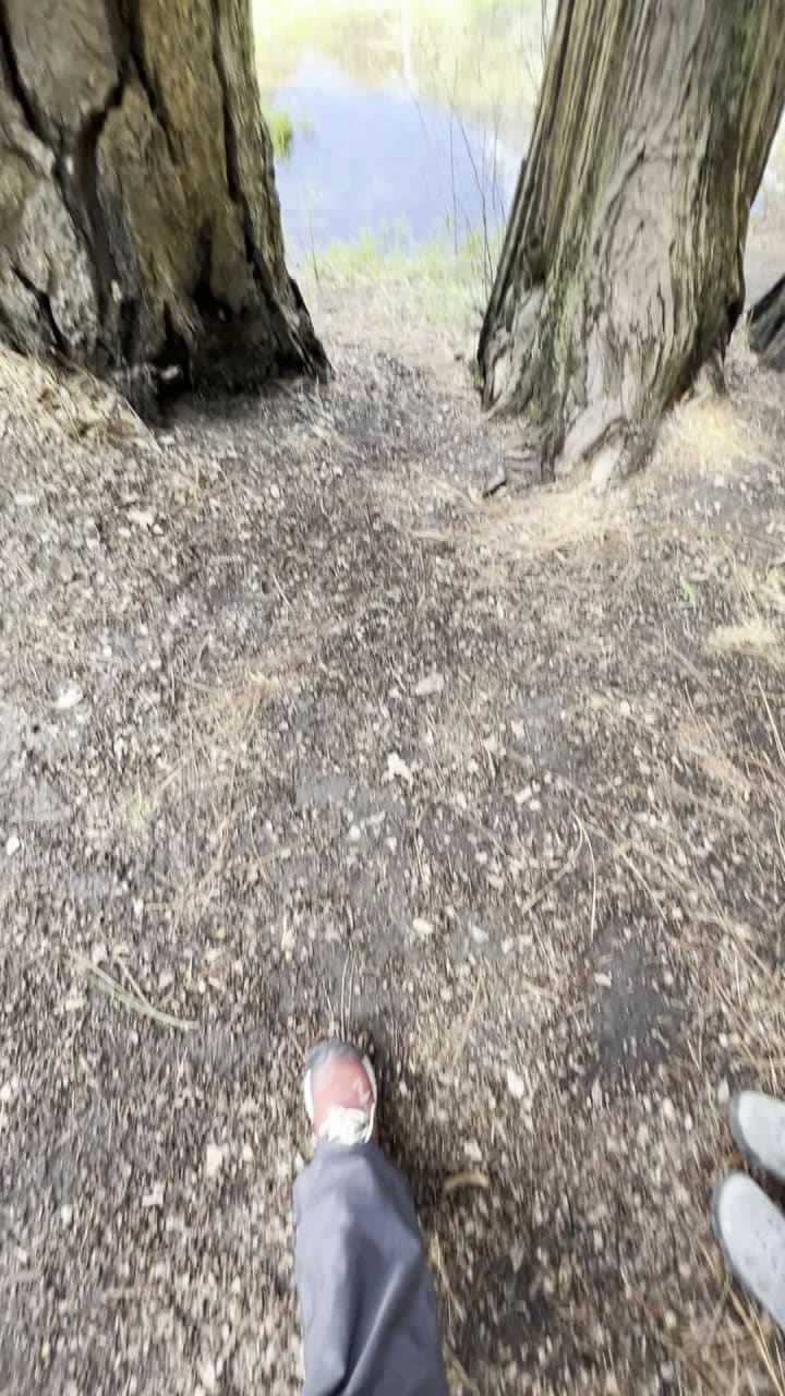 Video review of Cook's Meadow Loop