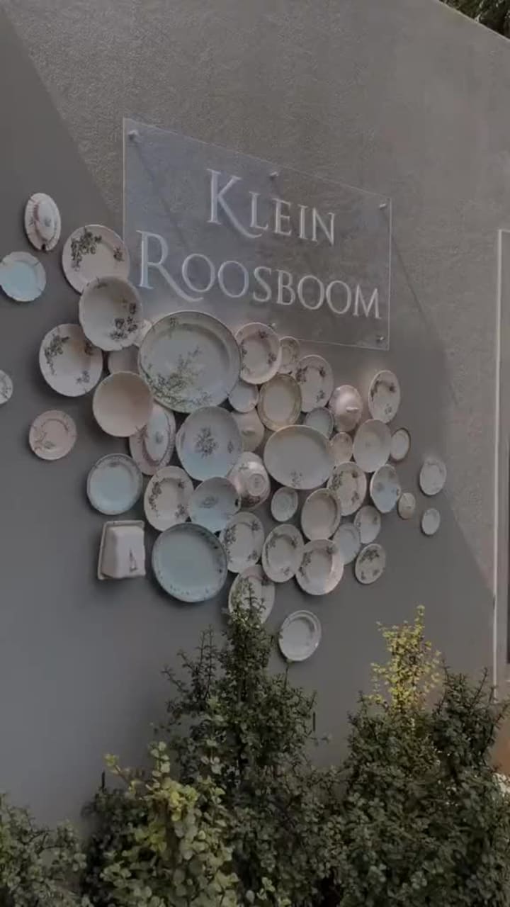 Video review of Klein Roosboom