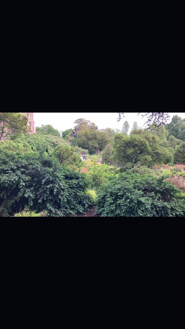 Video review of Open City