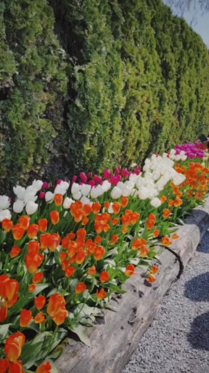 Video review of RoozenGaarde